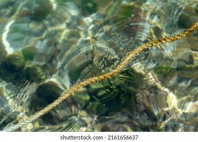 Rope Floating At The Surface On Water With Water Ripple.