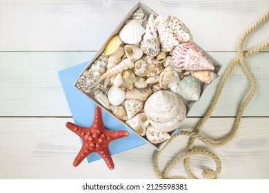 Rope And Gift Box Full Of Seashells, Stars And Summer Holiday Souvenirs From Sea On Light Wood Boards