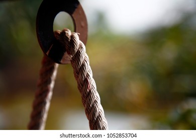 Dragons Claws Hold Bead Make Your Stock Photo 1589999746 | Shutterstock