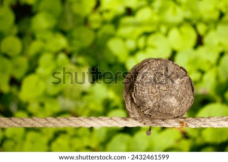 Rope Knot, Tree, Tree trunk, Rope tied to a Tree Trunk with a green plant background, Green, Abstract Rope and Trunk