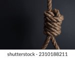 rope noose for hanging on a gray background