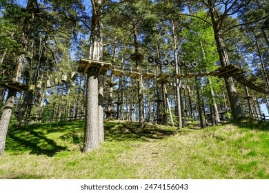 Rope obstacle track high in the trees, a rope course in an adventure park in a pine forest, climbing track in adventure park - Powered by Shutterstock