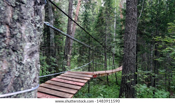 Rope path in of dense forest. Stock footage.\
Suspension bridge passes through green forest. Hiking bridge\
suspended over low part of forest, passing through it among heights\
of tree trunks