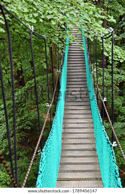 Rope path in of\
dense forest. Suspension bridge passes through green forest. Hiking\
bridge suspended over low part of forest, passing through it among\
heights of tree trunks