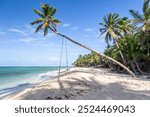 Rope swing hanging off a leaning palm tree on an idyllic white sand beach on Little Corn Island in Nicaragua. Turquoise blue water laps onto the shore, which is dappled with shadows from palm trees. 