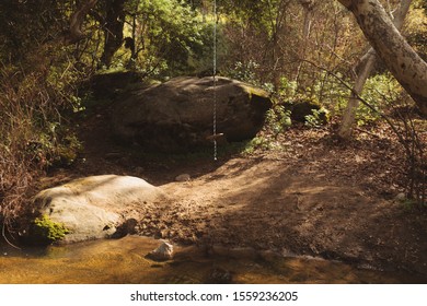 Rope Swing On A Trail In Three Rivers