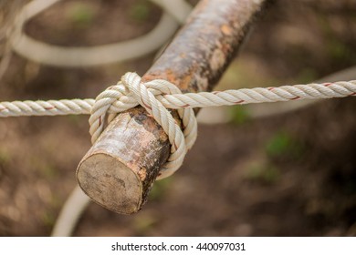 Rope, Tie A Knot In A Tree Camp.
