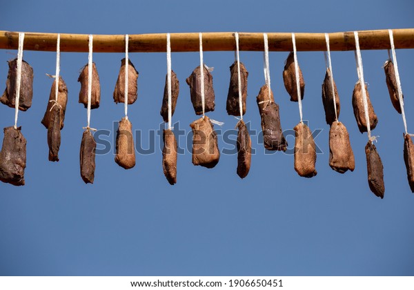 Rope\
tied Duck breast.Hanging on the bamboo.Sun exposure.Dry dew.As food\
preservation. marinated with salt and spices.\
Duck.