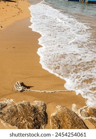 The rope is washed by the waves between the coral and sand on the beach