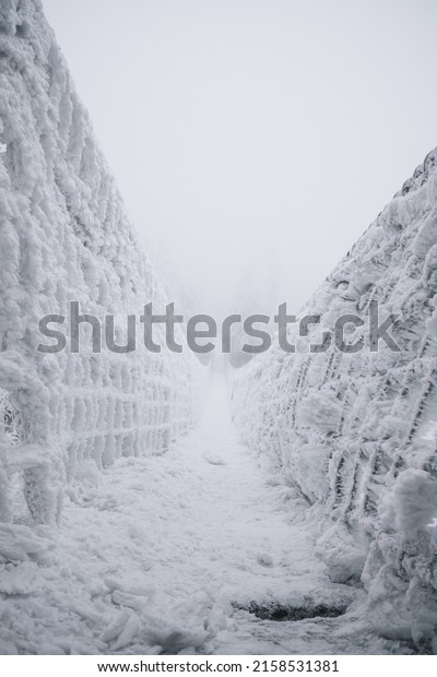 A roped\
bridge covered in snow on a foggy\
day