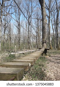 Ropes in forest