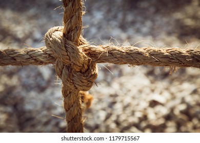 Ropes tied in knot on abstract grey background