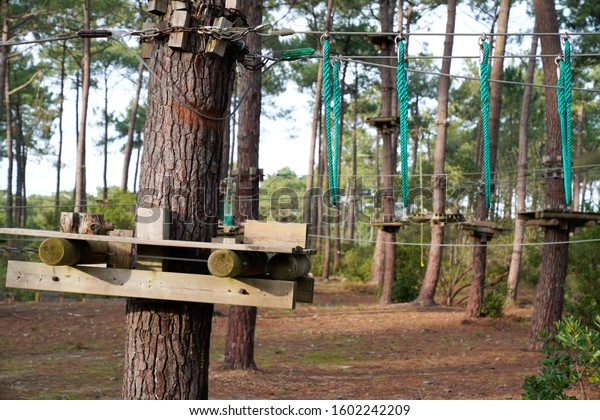 ropes tree climbing course bridge of logs adventure\
high wire park