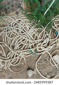 ropes used from projects are not maintained

