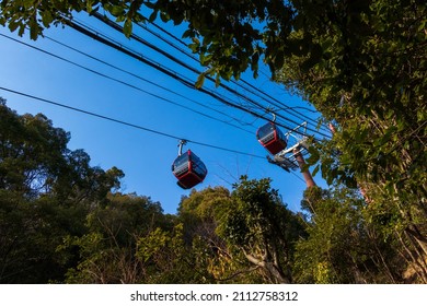 Ropeway Red Gondola Looking Up From The Woods