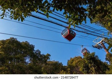 Ropeway Red Gondola Looking Up From The Woods