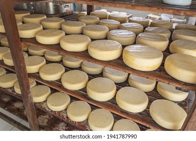 São Roque de Minas - MG, Brazil - December 12, 2020: Cheese storage in the ripening process at Roça Da Cidade, artisanal cheese making, Serra da Canastra, at the cheese route.