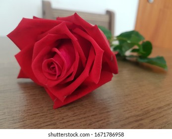 Red rose reddit