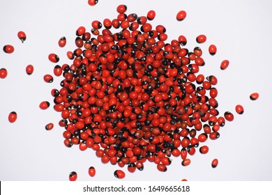 Rosary Pea Or Abrus Precatorius Also Known As Jequirity Or Prayer Bean Is Herb Flowering Plant In The Bean Family. Dried Hard Black And Red Colored Bean Native To Asia And Australia.