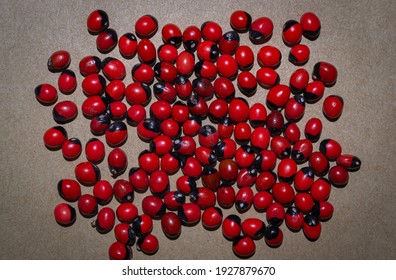 Rosary Pea Also Known As Crab's Eye. 