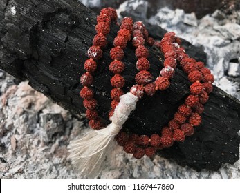 rudraksha images stock photos vectors shutterstock https www shutterstock com image photo rosary prayer beads on ash cinder 1169447860