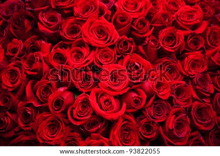 rose