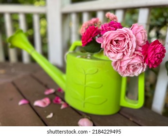 Rose Arranged In A Green Watering Pot Putting On A Wooden Bench Top In A Gazebo