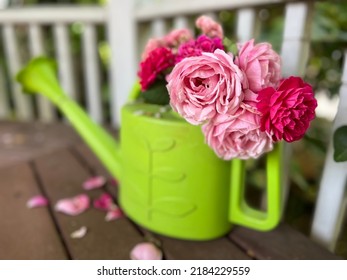 Rose Arranged In A Green Watering Pot Putting On A Wooden Bench Top In A Gazebo