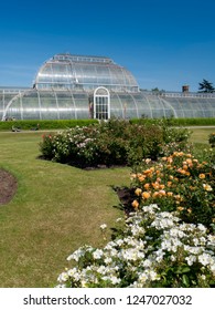 Rose Beds In Front Of Palm House In Kew Gardens On 11th June 2015