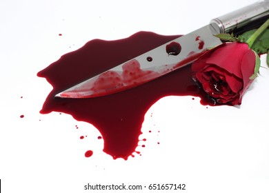 rose, blood splashed  and knife on white background