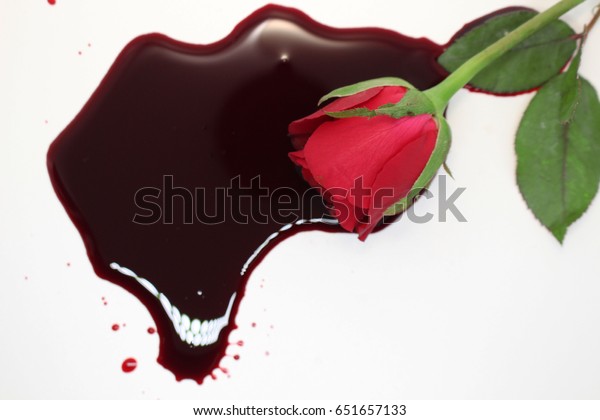 Rose Blood Splashed On White Background Stock Photo (Edit Now) 651657133