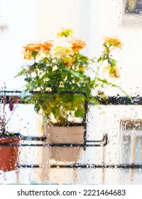 Rose Bush In A Flower Pot On