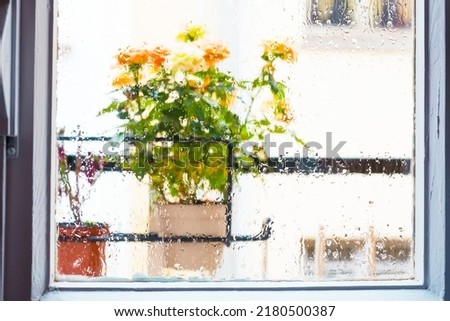 Similar – Image, Stock Photo Flower pots and cacti on one table