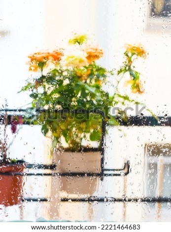 Image, Stock Photo Flower pots and cacti on one table