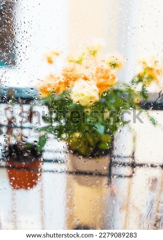 Similar – Image, Stock Photo Flower pots and cacti on one table