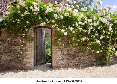 Rose Covered Garden Wall With Gate, Cotswolds, England