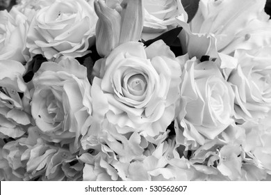 Rose Flower (B&W)