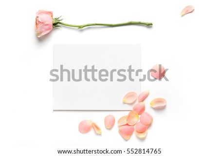 Rose flower and petals on empty piece of paper isolated on white. Copy space for text. Feminine concept. Mock up top view