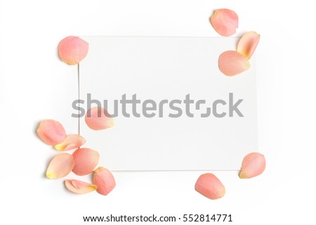 Rose flower petals on empty piece of paper isolated on white. Copy space for text. Feminine concept. Mock up top view