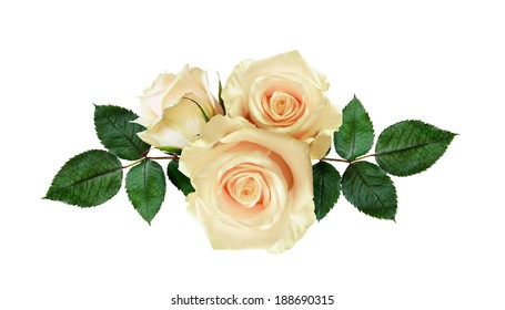 Rose Flowers Arrangement On White Background Stock Photo 188690315 ...