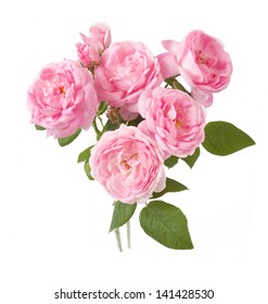 Flores rosa aisladas fondo
