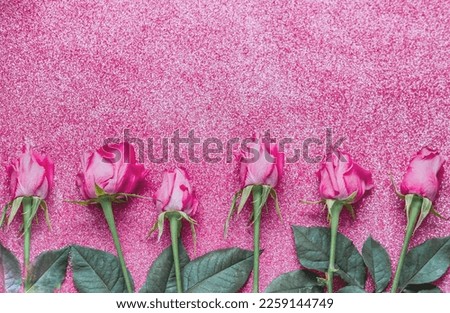 Rose flowers on pink background with sparkles. Trendy Color of Year 2023. Festive background concept for Valentine's Day. 