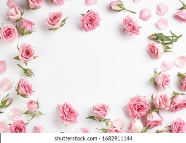 Rose flowers on white background with copy space for design, text. Top view of pink roses and rose buds.