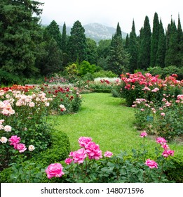 Rose Garden