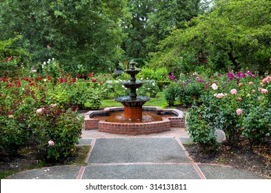Test Rose Garden Images Stock Photos Vectors Shutterstock