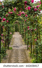 Rose Garden Arch Walkway Path Stock Photo 642658417 | Shutterstock