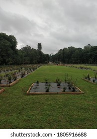 Rose Garden At Cubbon Park