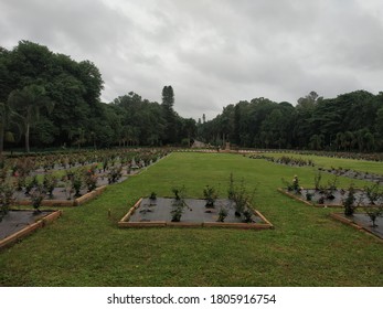 Rose Garden At Cubbon Park