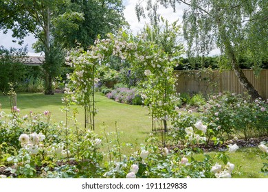 Rose Garden. Large UK Flower Garden With White Hedge Roses And A Rose Arch