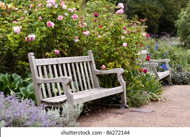 Rose Garden In The Park With Empty Wooden Bench. Hyde Park, London